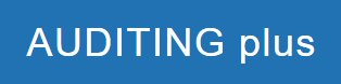 Auditing Plus